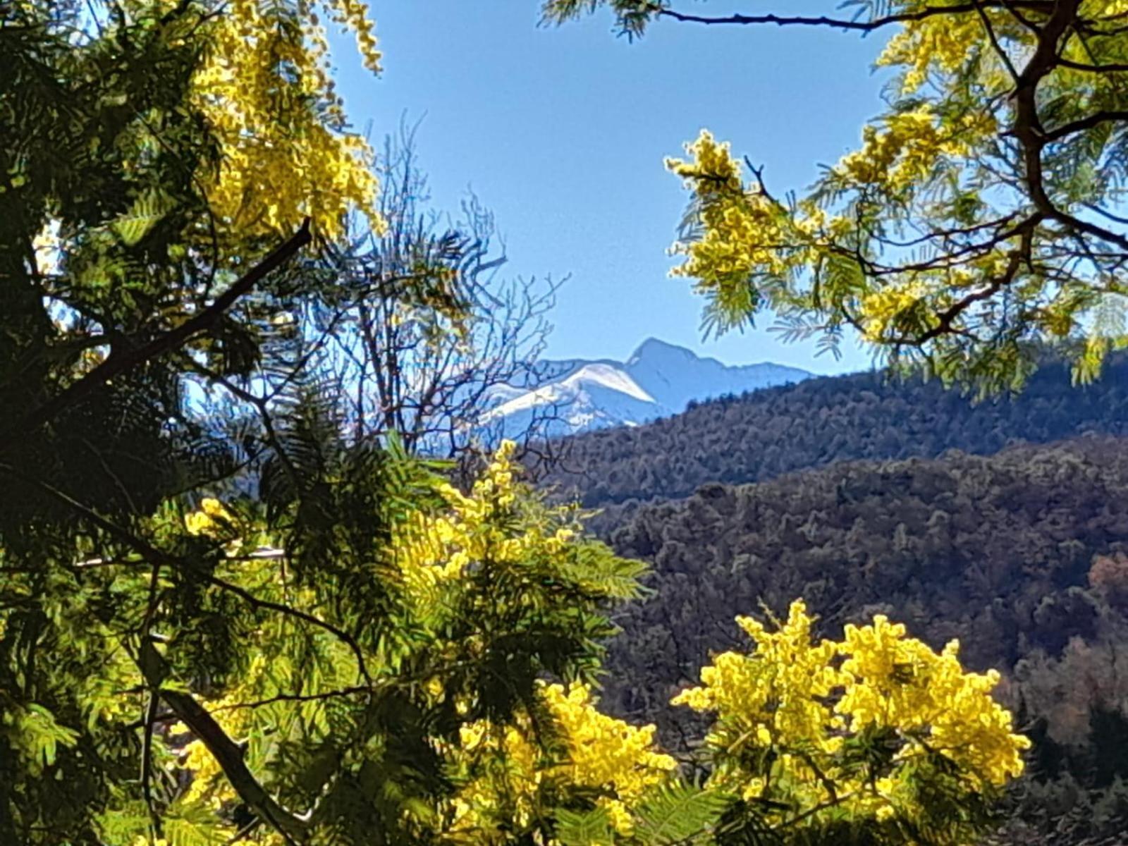 Domaine St Georges Βίλα Mosset Εξωτερικό φωτογραφία