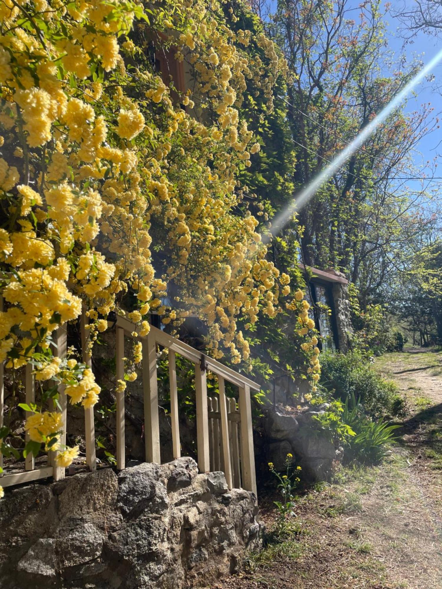Domaine St Georges Βίλα Mosset Εξωτερικό φωτογραφία